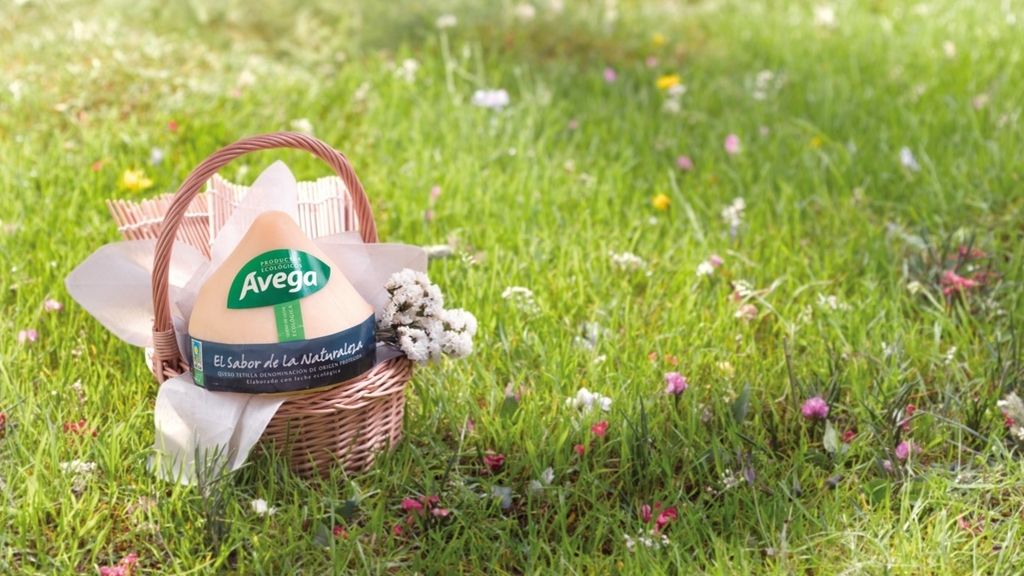 Productos ecológicos