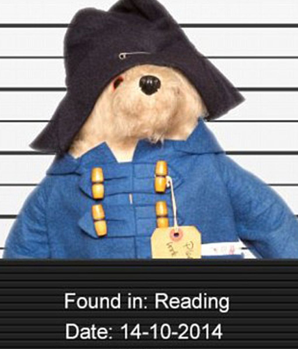 Peluches perdidos buscan a sus dueños