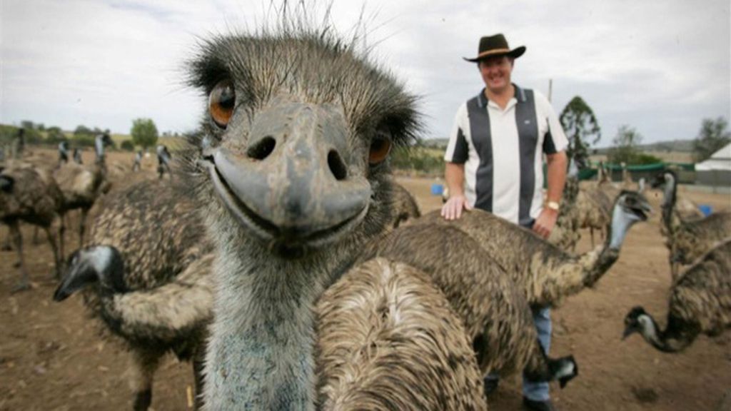 Una foto normal se convierte en una imagen increíble gracias a un ‘intruso’