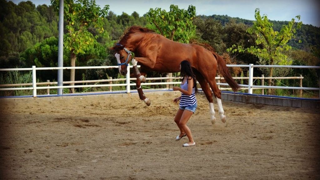 Concursantes Efecto ¡GUAU!... de tu vida