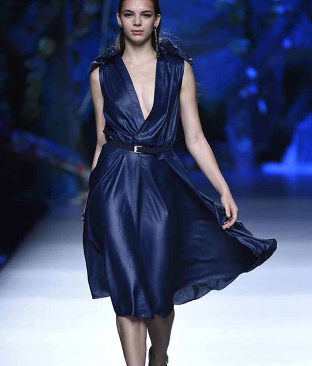 Corales, estrellas y esponjas de mar