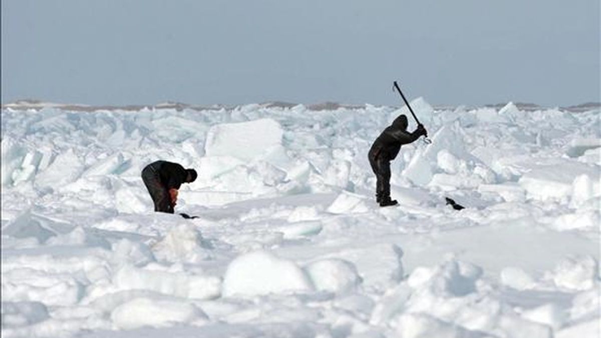 Fotografía cedida por el Fondo Internacional para el Cuidado de los Animales,  en la que se observa a dos cazadores al matar focas en el área del Golfo de San Lorenzo (Canadá). EFE