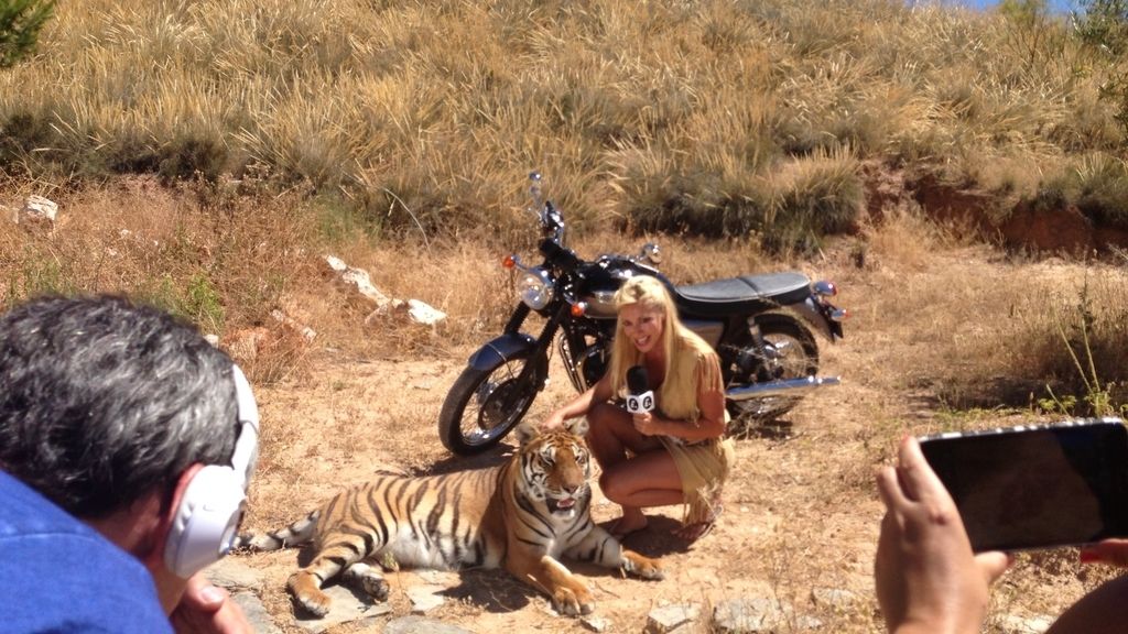 Entre fauna, felinos y... motos