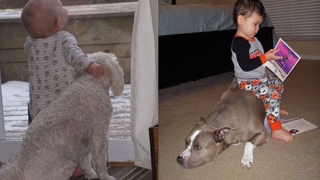 Compañeros para todo