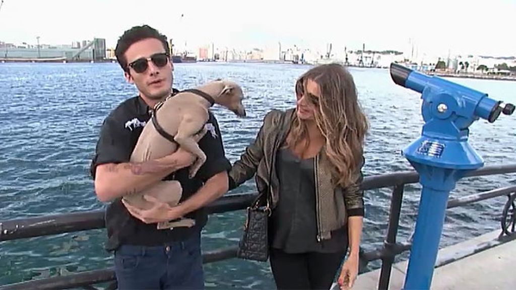 Roy busca al cuarto amor de su vida, después de su madre, su perro y su coche