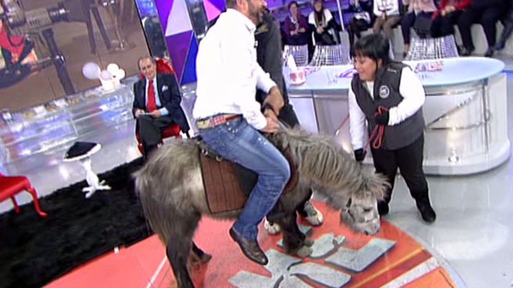 Chiqui entra en plató a lomos de un poni y Jorge Javier le imita