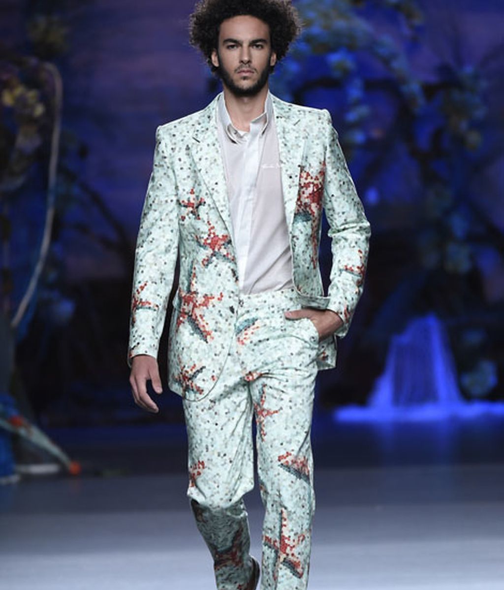 Corales, estrellas y esponjas de mar