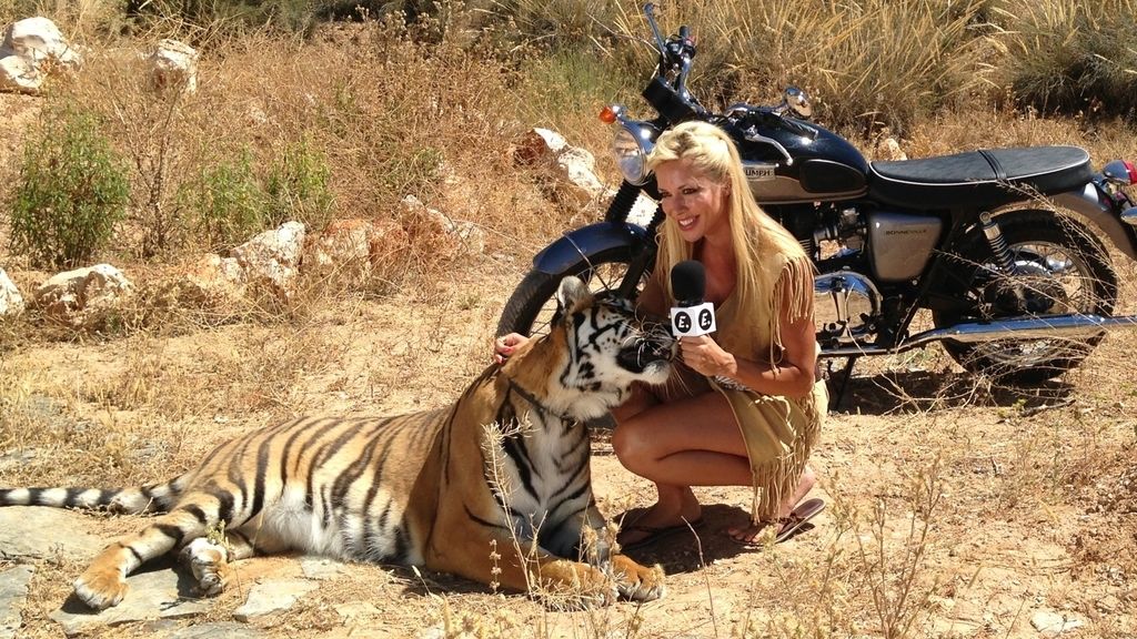 Entre fauna, felinos y... motos