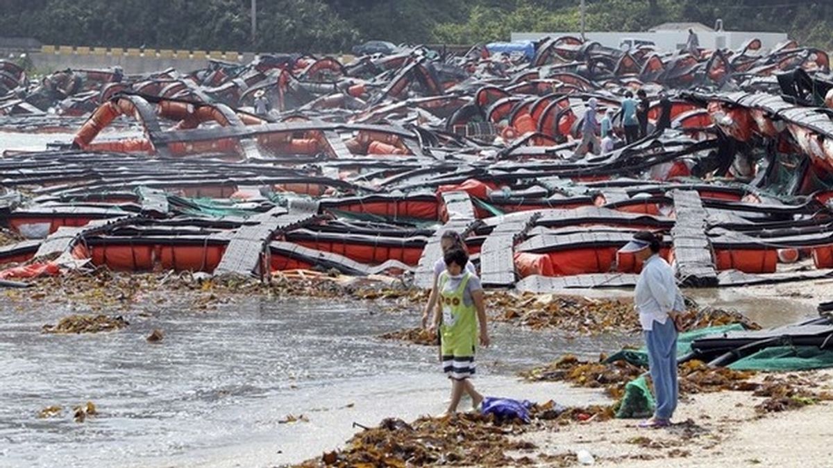 Más de 100.000 evacuados en China por la llegada de la tormenta Muifa