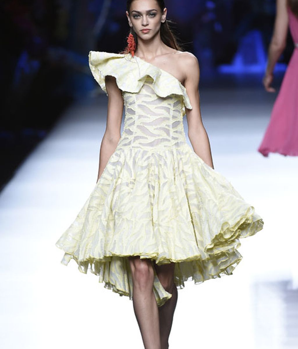 Corales, estrellas y esponjas de mar