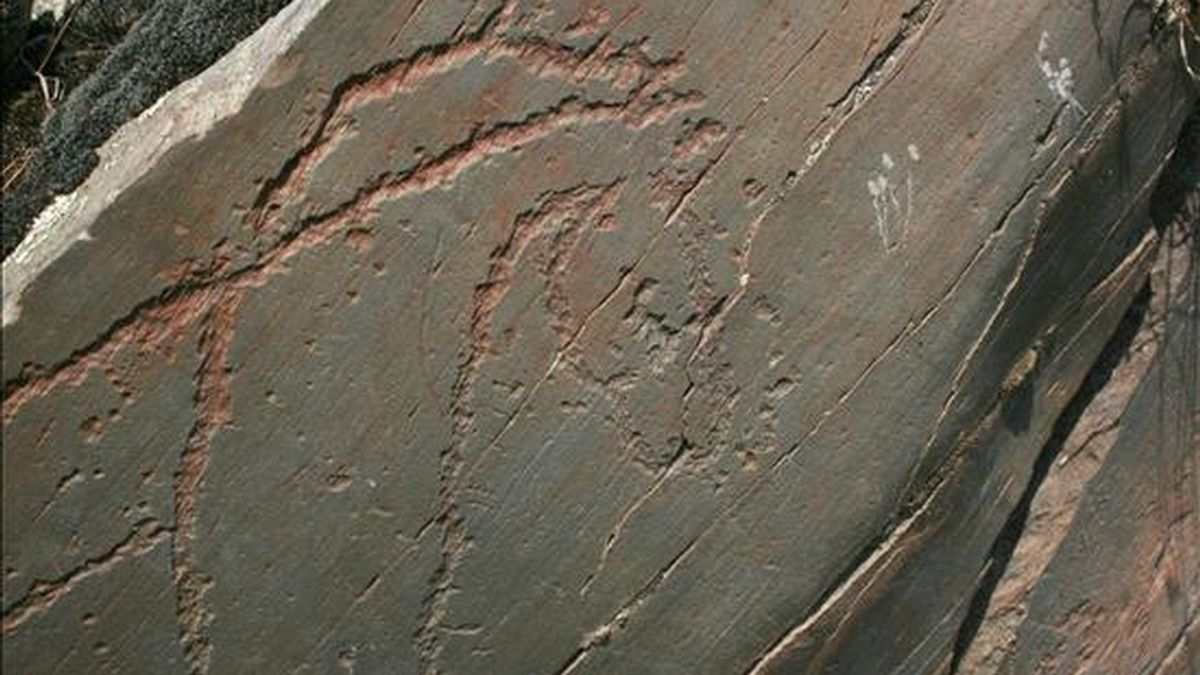 Figura de un caballo grabada en piedra de pizarra, una de las piezas conservadas en el yacimiento arqueológico de Siega Verde, en la comarca de Ciudad Rodrigo. EFE/Archivo