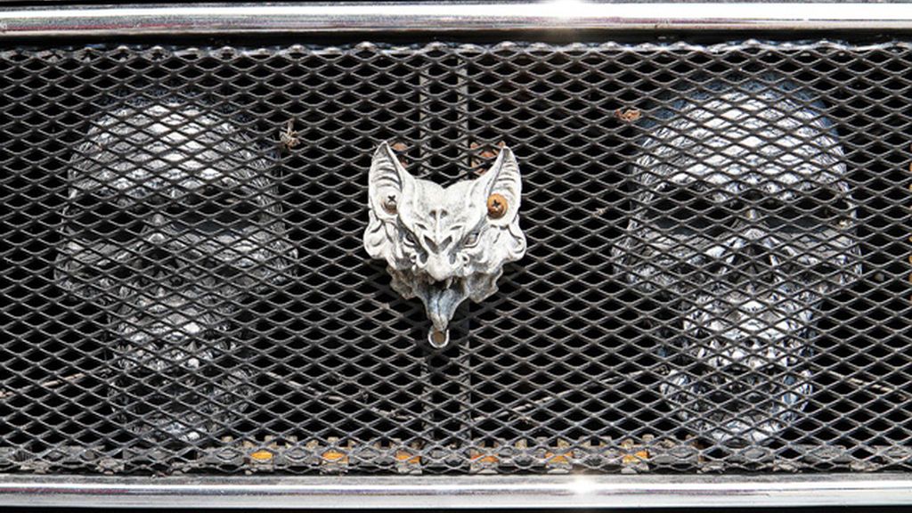 El sarcófago lo ha conseguido en una tienda online