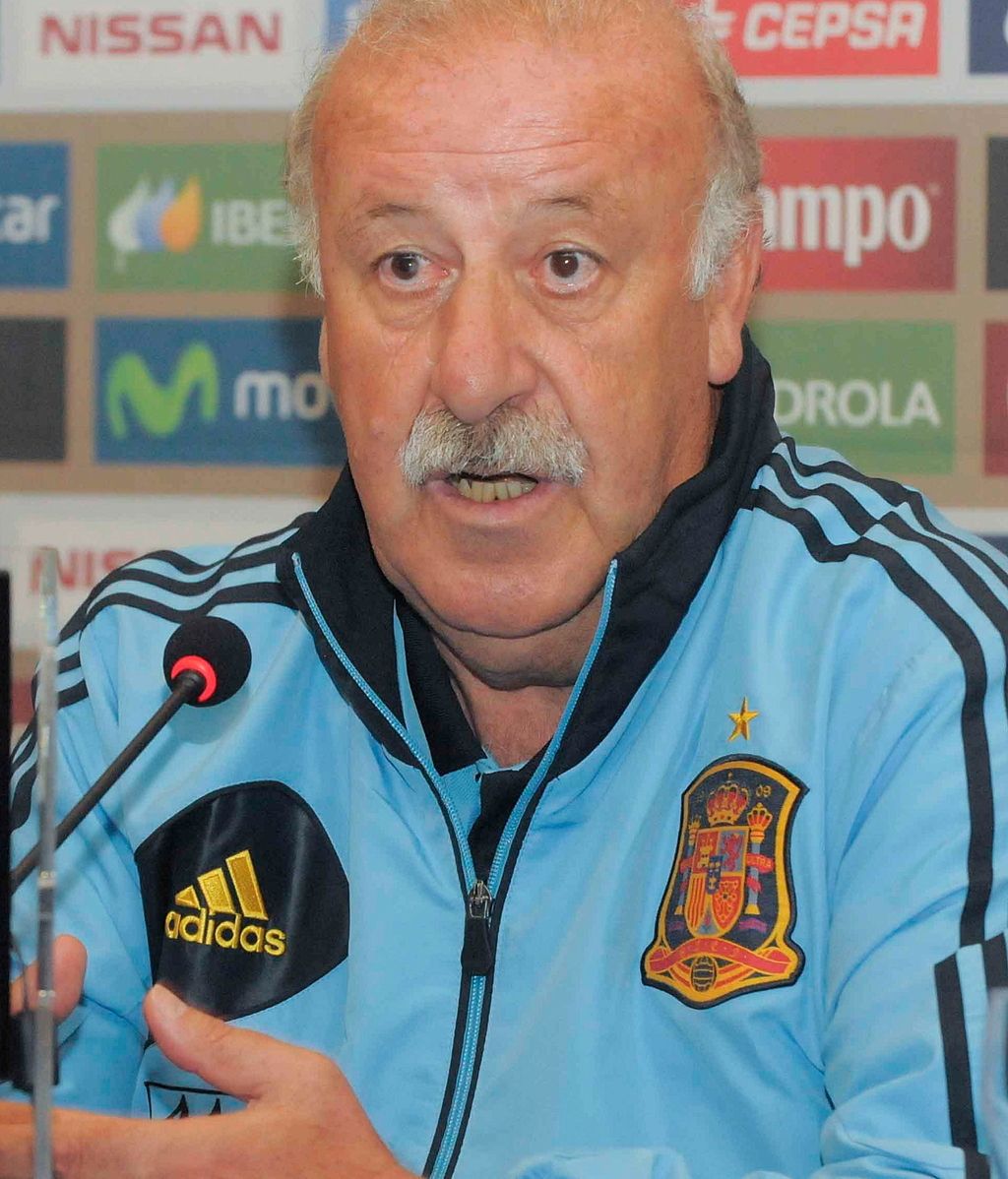 El seleccionador nacional, Vicente del Bosque El seleccionador nacional, Vicente del Bosque