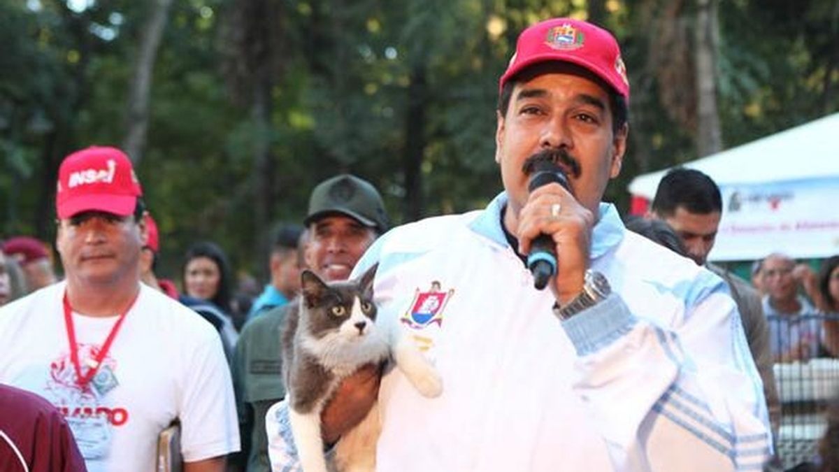 Nicolás Maduro adopta un gato tras poner en marcha un programa apra mascotas abandonadas