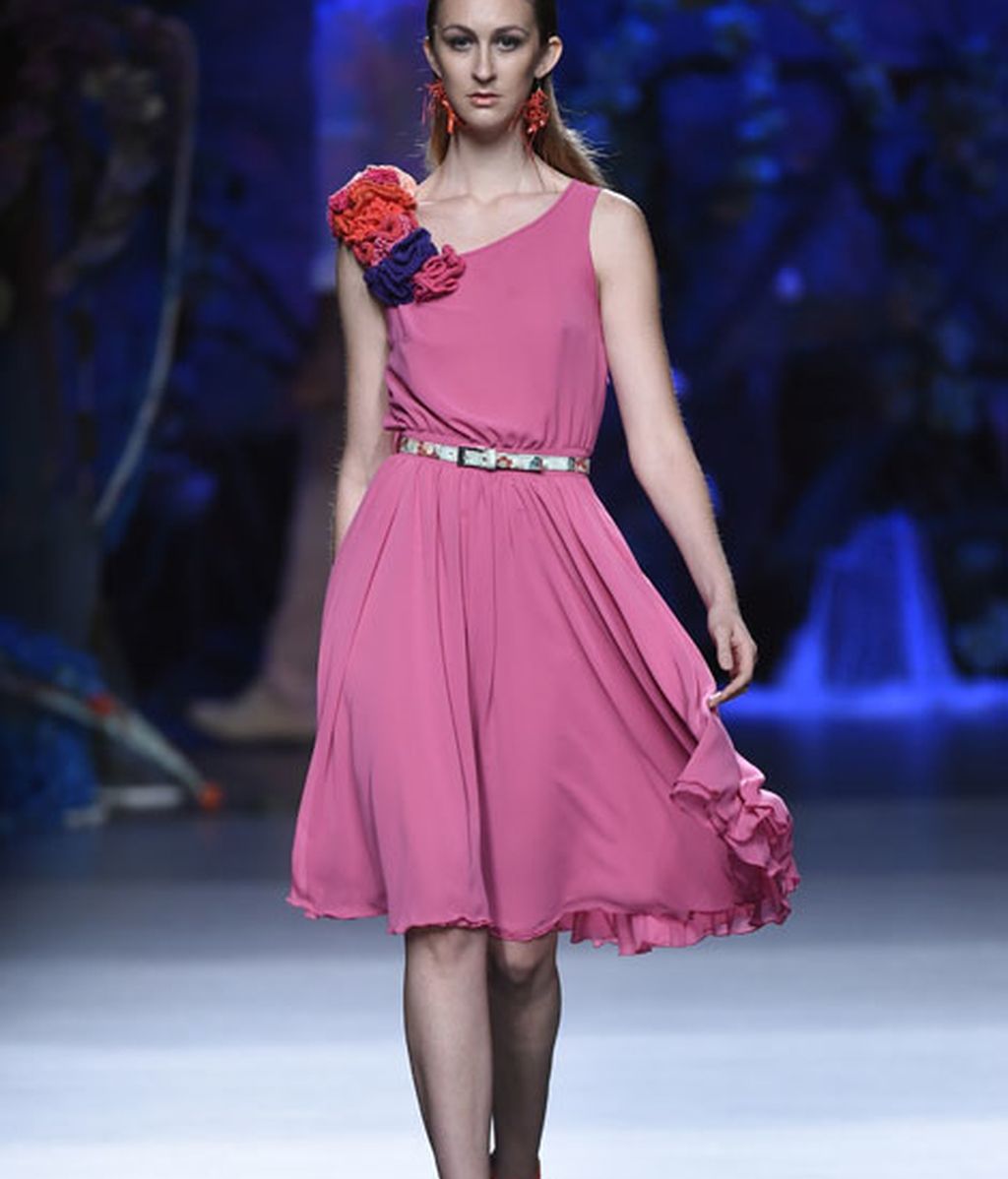 Corales, estrellas y esponjas de mar