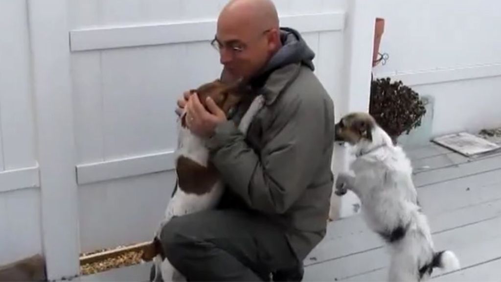Soldados y perros