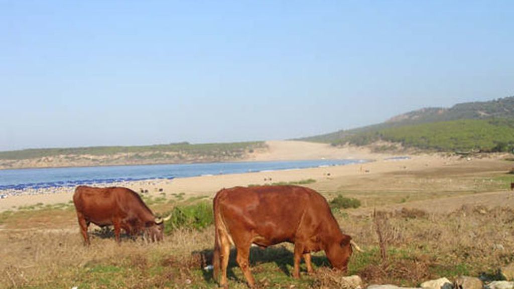 Las mejores playas de Cádiz