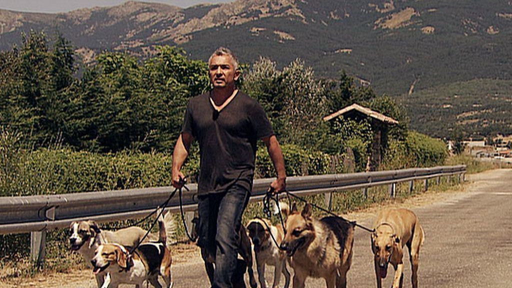 El líder de la manada: Comienza la cruzada contra el abandono de perros en España