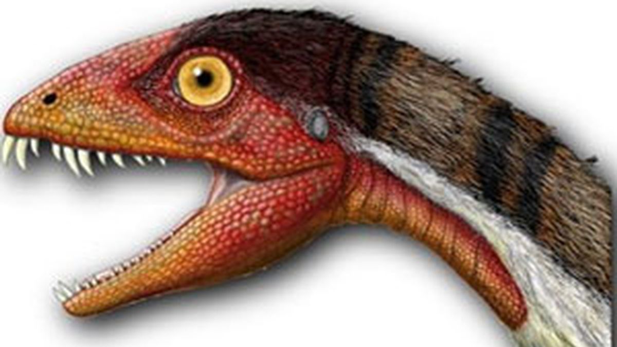 La nueva especie se denomina 'Daemonosaurus chauliodus'. FOTO: JEFFREY MARTZ/SMITHSONIAN