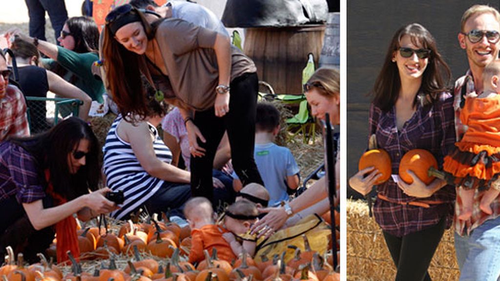 Calabazas para todos los famosos