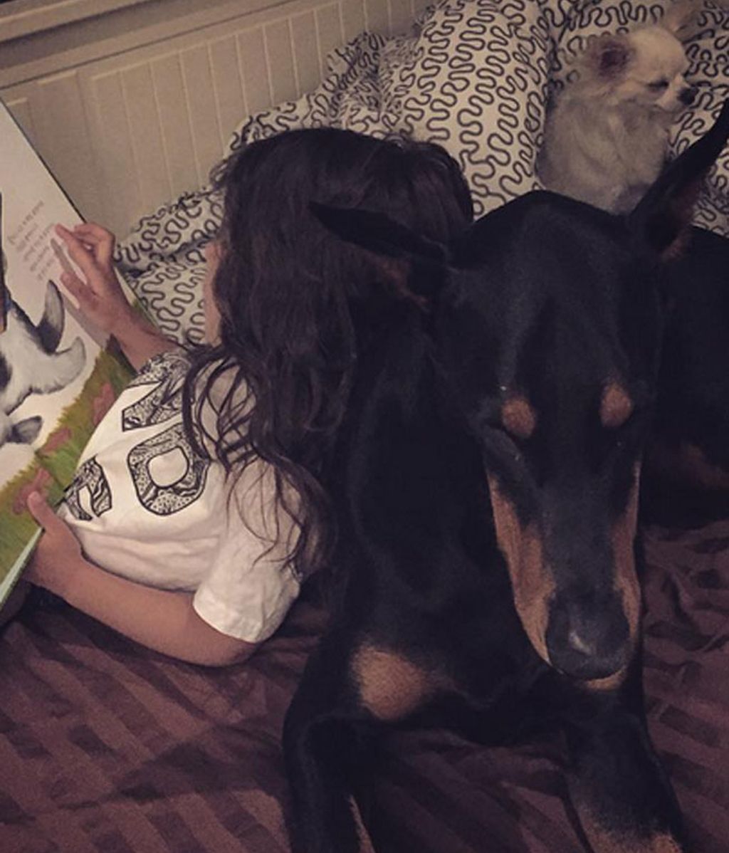 "La bella y la bestia"