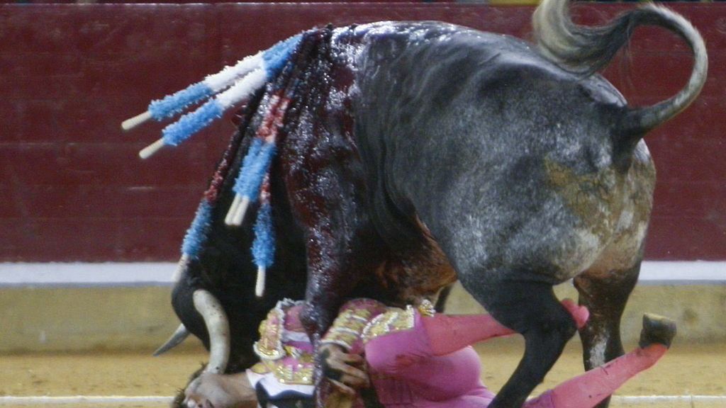 Terror en Zaragoza