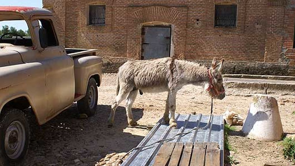 El reparto de 'Marieta'