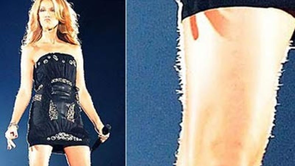 Celine Dion con muchos pelos