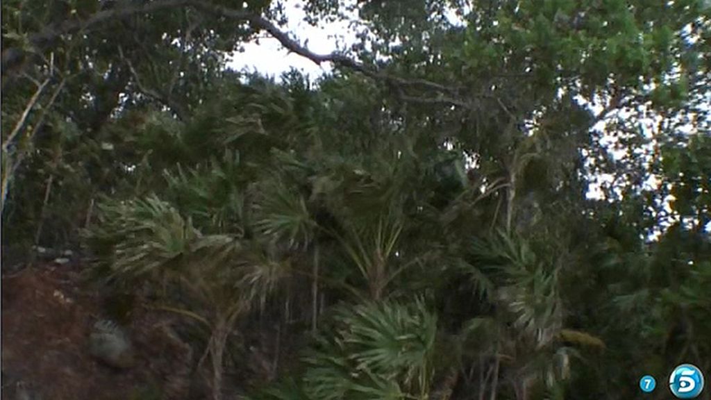 Una barca evacúa a los concursantes de Cayo Paloma