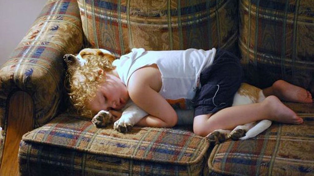 Compañeros para todo