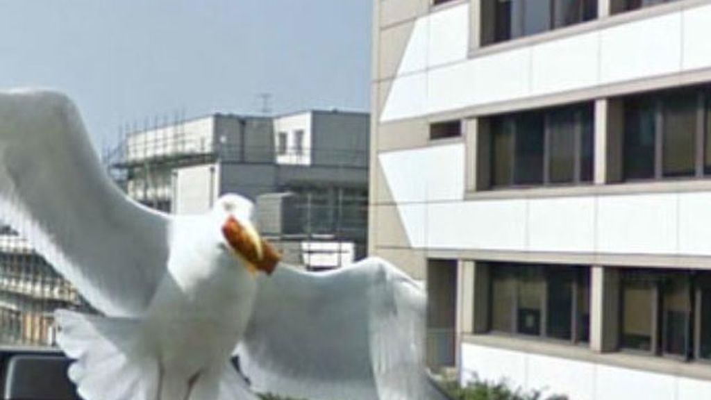 El ojo que todo lo ve