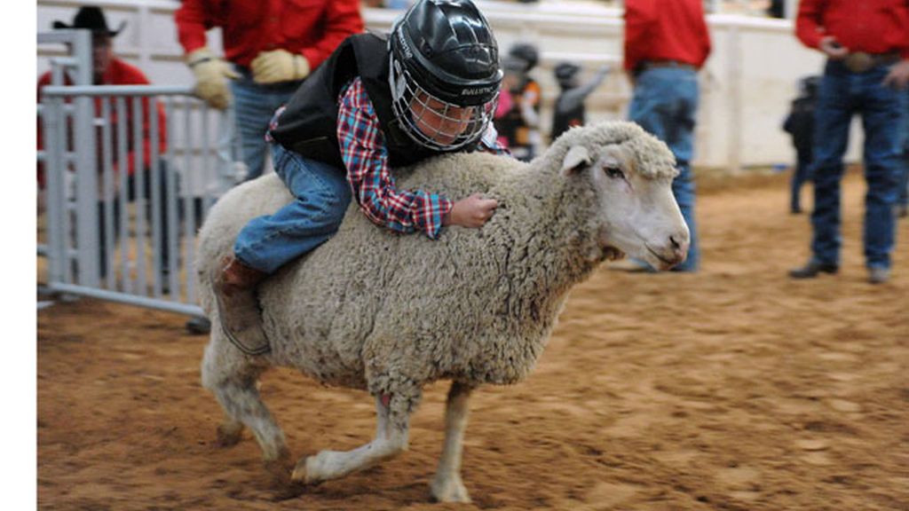 ¡Cuidado! niño a lomo de una oveja