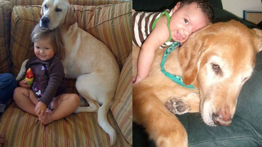 Compañeros para todo