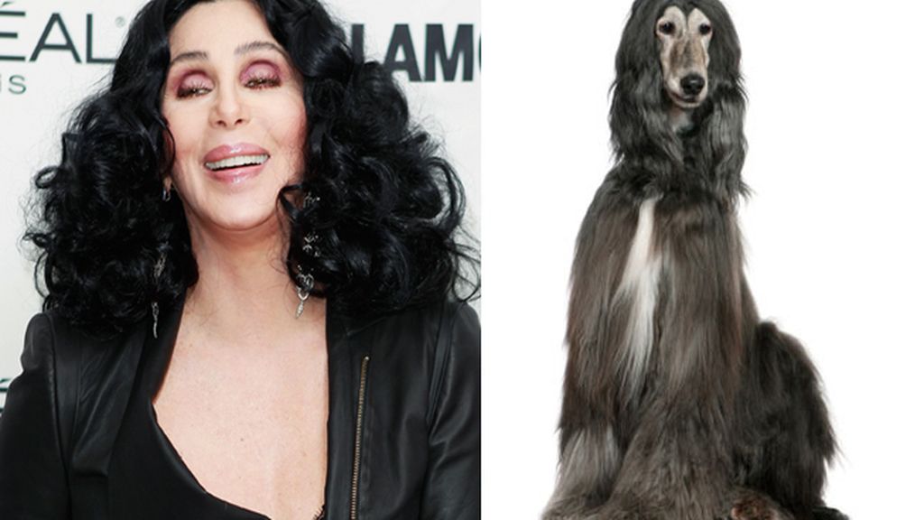 La cantante Cherilyn Sarkisian 'Cher' y el perro que ansía su 'look'