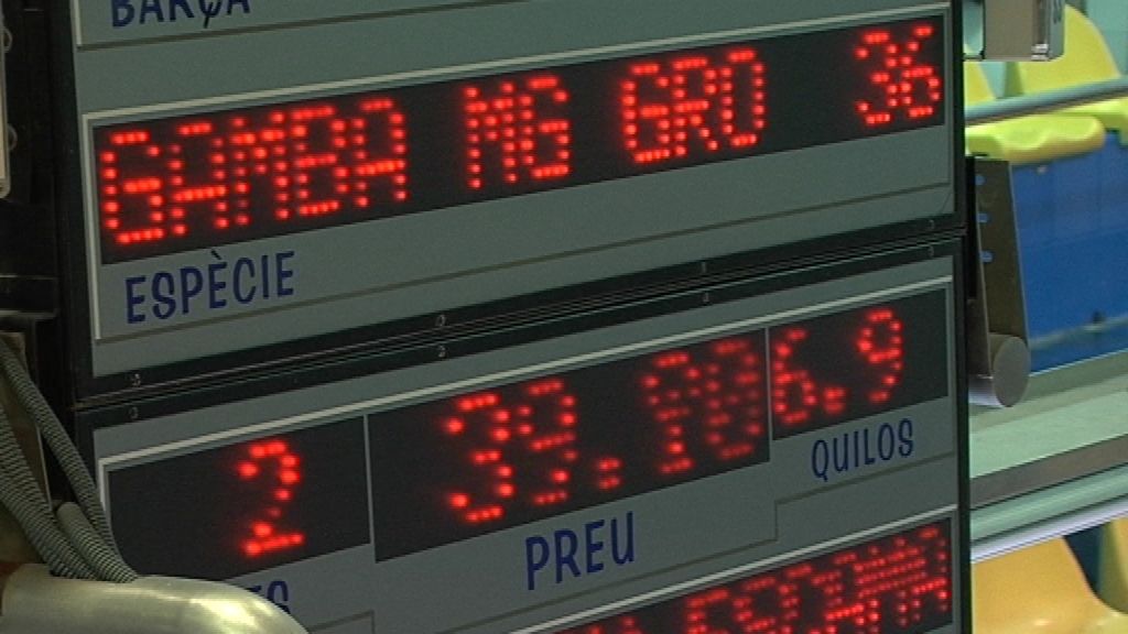 Con la llegada de las navidades 'Callejeros' se va con los 'mariscadores'