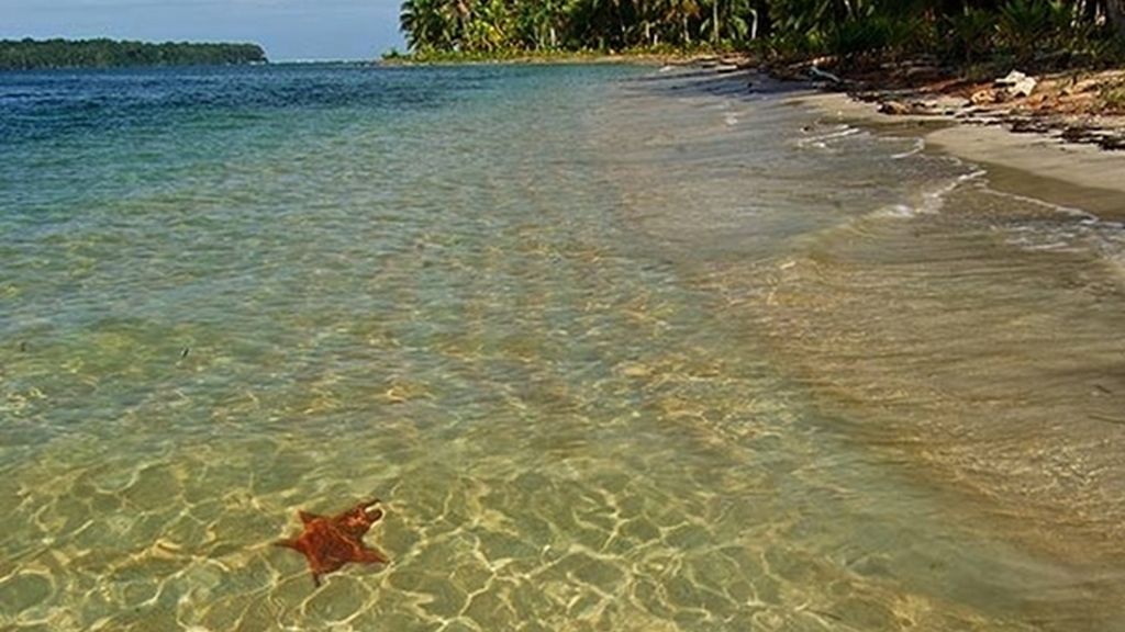 Playa de las estrellas, Panamá
