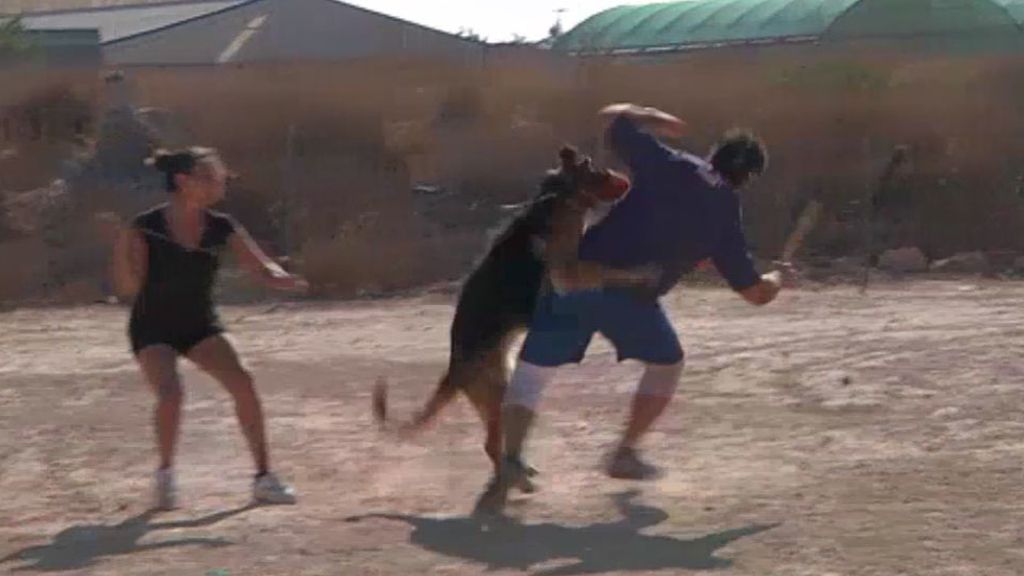 Callejeros nos trae diferentes casos con una 'Orden de alejamiento'