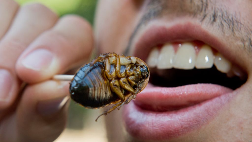 Los más arriesgados pueden degustar numerosos platos