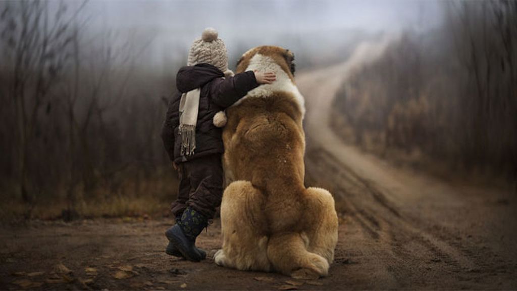 La magia de la amistad