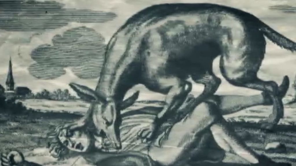 Adelanto del programa en imágenes