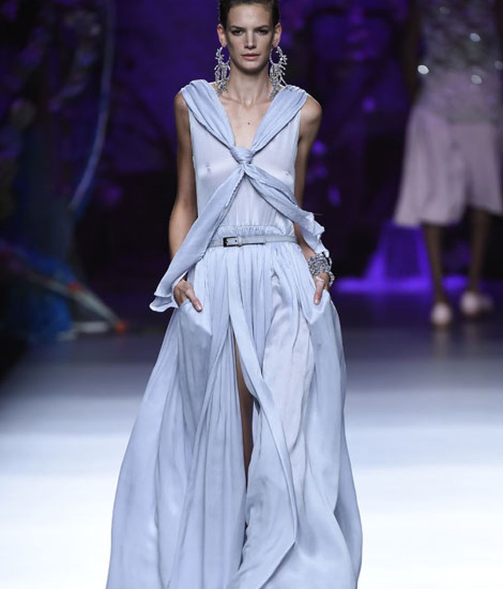 Corales, estrellas y esponjas de mar