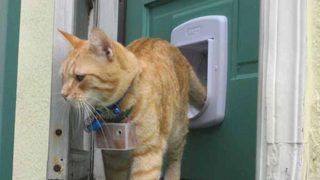 Cooper y su cámara personal