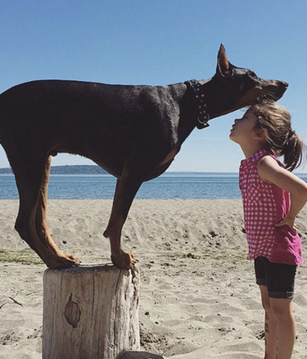 "La bella y la bestia"