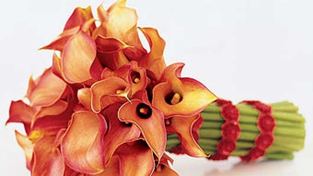 Celebra tu boda