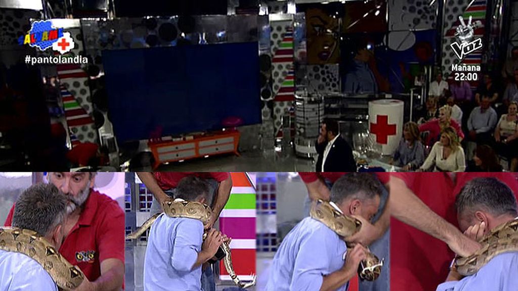 El plató se oscurecía y cuando se hizo la luz, descubrimos que Kiko tenía una serpiente en el cuello