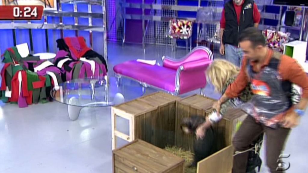 Kiko H. y Chelo se han negado a participar