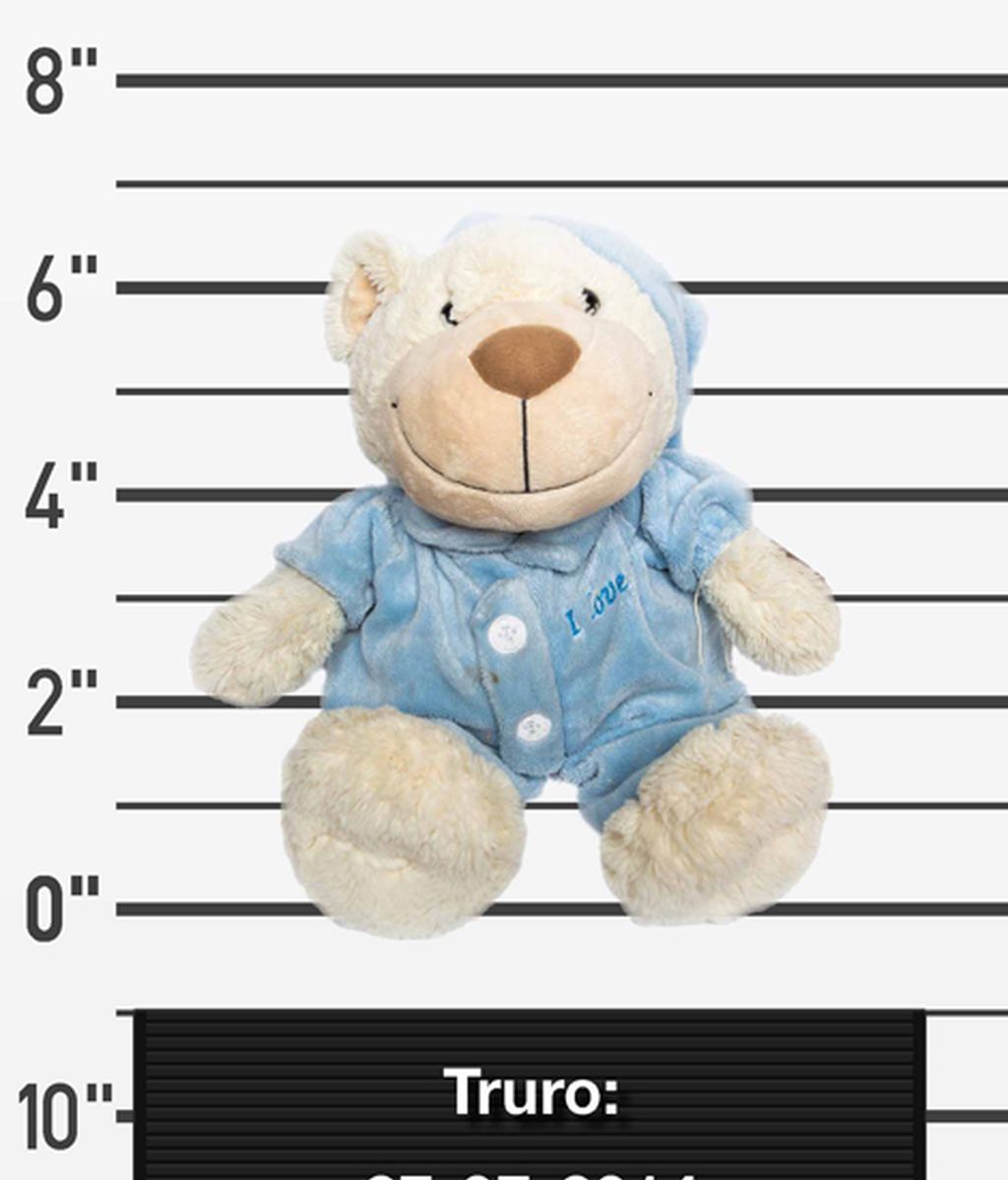 Peluches perdidos buscan a sus dueños