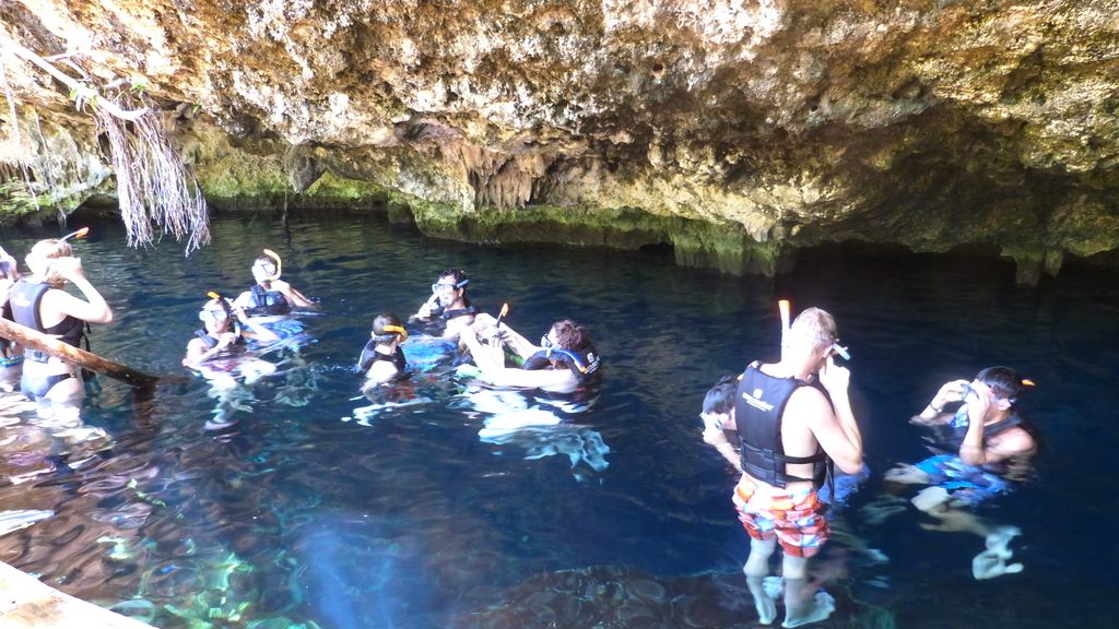 cenote todos