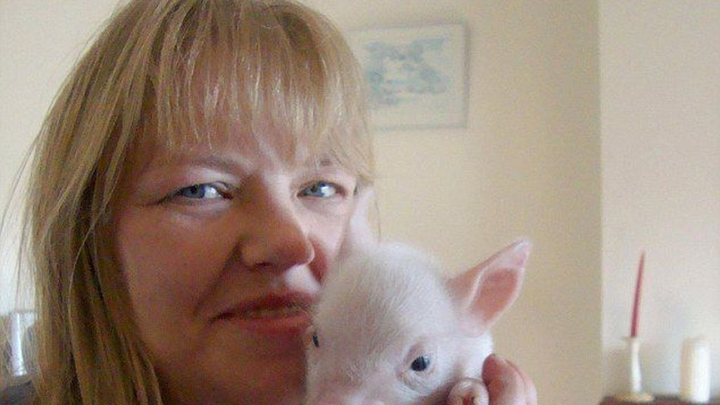 El cerdito que reina en Facebook