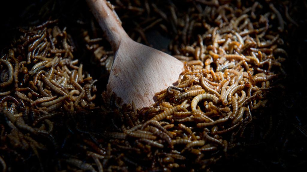 Los más arriesgados pueden degustar numerosos platos